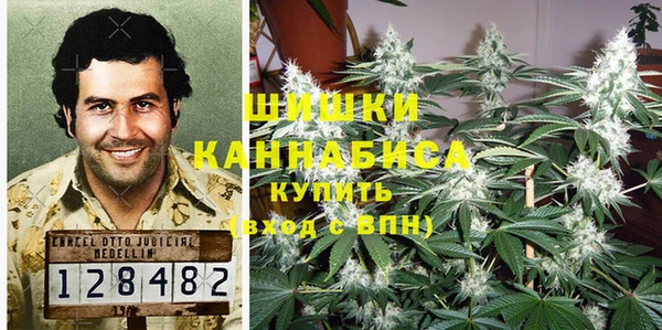 молекула духа Майский