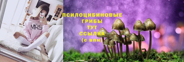 mix Магас